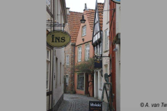 IMG_1525