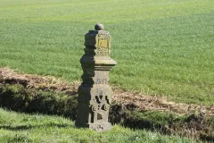 avcdfw-ritfoto-081022_007