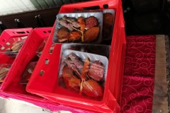 IMG_20250823_173142-Groot